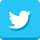 twitter button